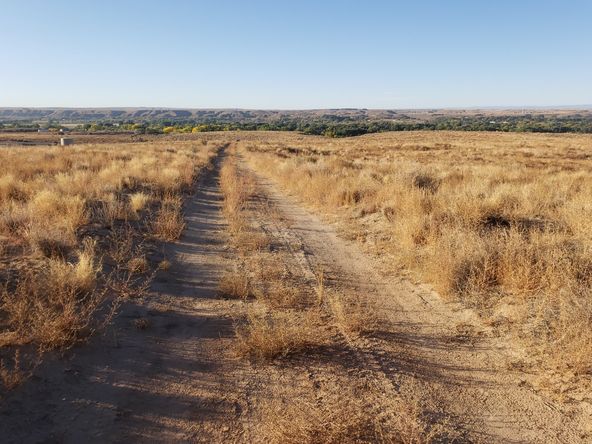 NYA Road 6676: NYA Road 6676, Bloomfield, NM 87413